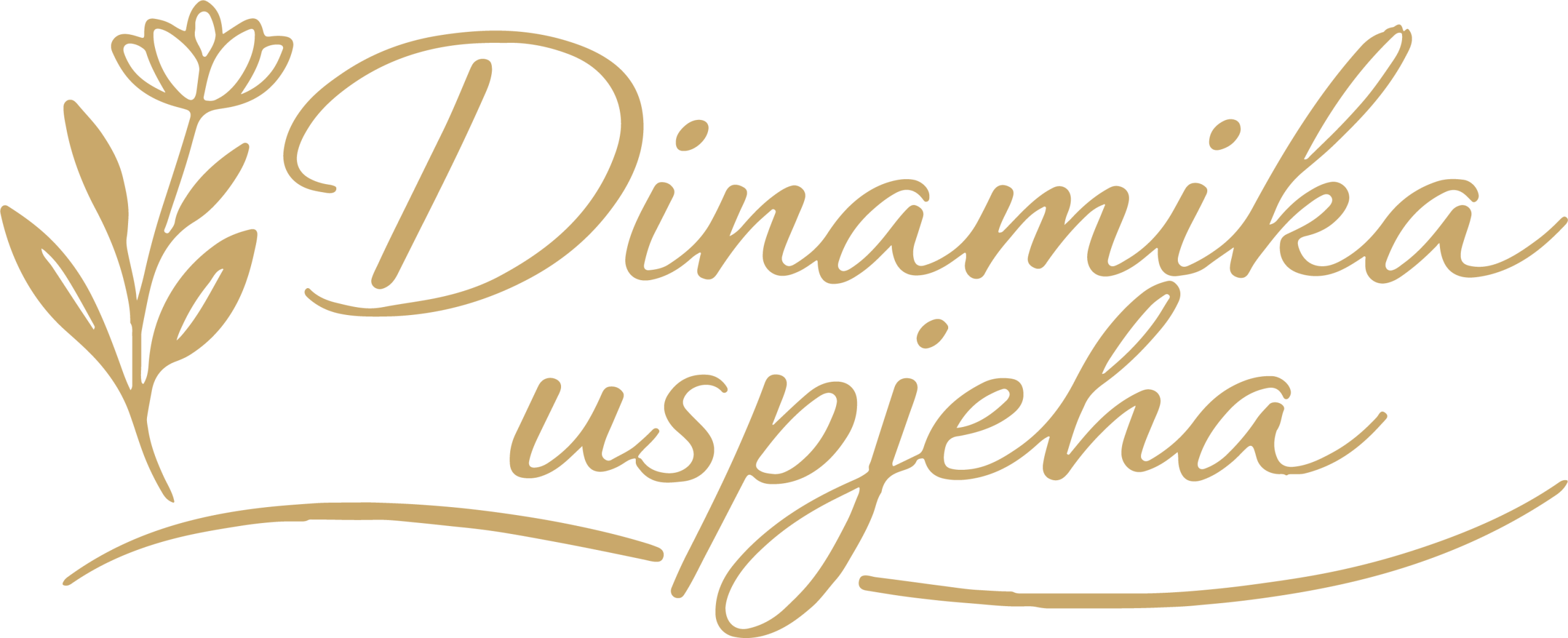 Dinamika uspjeha
